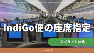 IndiGo座席指定はExpedia経由でも可能｜eチケット取得とアプリ活用法